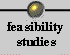 Feasibility Studies